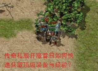 ����˽������������ο��ٻ�ȡ����װ���뾭�飿