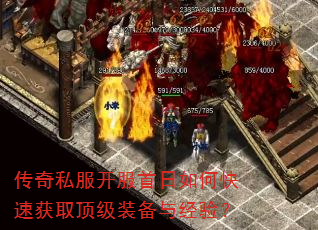 ����˽������������ο��ٻ�ȡ����װ���뾭�飿