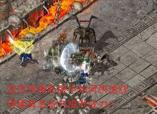 ��̬����˽������ο��ٻ��ϡ��װ��������ս����