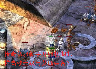 ����˽�����ֿ�������������Ч�������ȡװ����