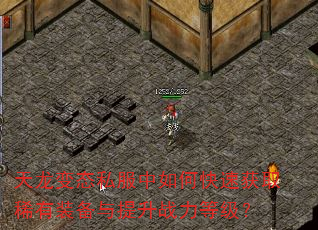 ������̬˽������ο��ٻ�ȡϡ��װ��������ս���ȼ���