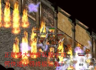 ����ʢ����˽������ο��ٻ���ռ�װ����