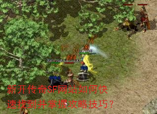 �¿�����SF��վ��ο����ҵ������չ��Լ��ɣ�