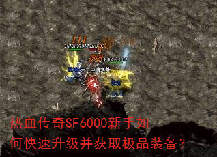 ��Ѫ����SF6000������ο�����������ȡ��Ʒװ����