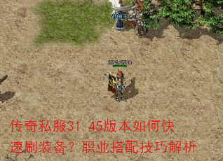 ����˽��31.45�汾��ο���ˢװ����ְҵ���似�ɽ���