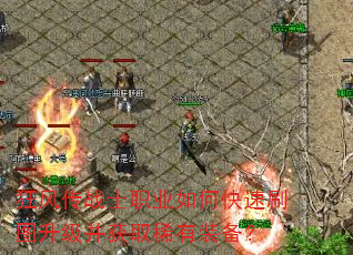 ��紫սʿְҵ��ο���ˢͼ��������ȡϡ��װ����