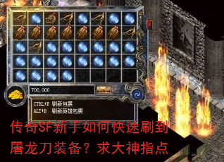 ����SF������ο���ˢ��������װ���������ָ��