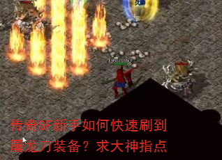 ����SF������ο���ˢ��������װ���������ָ��