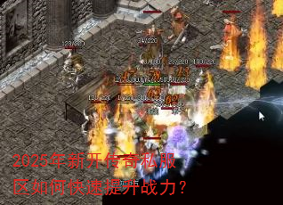 2025���¿�����˽������ο�������ս����