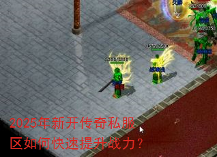 2025���¿�����˽������ο�������ս����