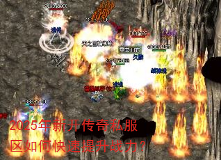 2025���¿�����˽������ο�������ս����