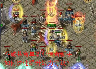 ���Ʋ�񷵥ְҵ����������ο�������ս���ȼ���