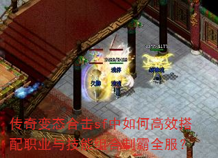 �����̬�ϻ�sf����θ�Ч����ְҵ�뼼������ư�ȫ����