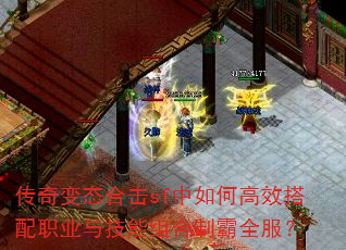 �����̬�ϻ�sf����θ�Ч����ְҵ�뼼������ư�ȫ����