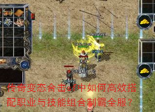 �����̬�ϻ�sf����θ�Ч����ְҵ�뼼������ư�ȫ����