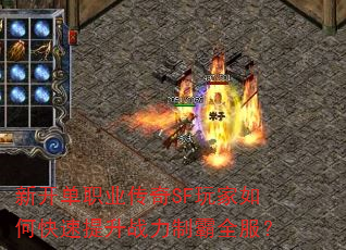 �¿���ְҵ����SF�����ο�������ս���ư�ȫ����