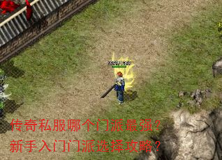 ����˽���ĸ�������ǿ��������������ѡ���ԣ�