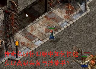 ����˽�����ɷ�����ο��ٻ�ȡ�߼�װ���뼼���飿