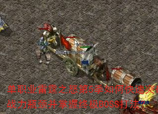 ��ְҵ����֮ŭ��5����ο���ͻ��ս��ƿ���������ռ�BOSS�򷨣�