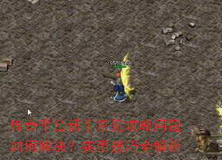 ����ƽ̨���ֳ�������������ν����ʵ�ü���ȫ����