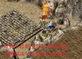 ����ƽ̨���ֳ�������������ν����ʵ�ü���ȫ����