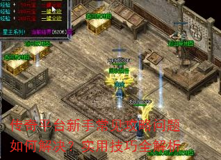 ����ƽ̨���ֳ�������������ν����ʵ�ü���ȫ����