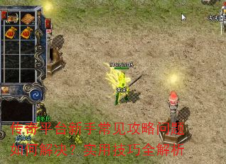 ����ƽ̨���ֳ�������������ν����ʵ�ü���ȫ����