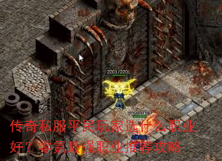 ����˽��ƽ�����ѡʲôְҵ�ã������ǿְҵ�Ƽ�����