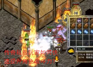 ����˽�������ο���������ɫս������