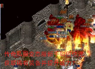 ����˽����̬��������ο��ٻ�ȡϡ��װ��������ս����