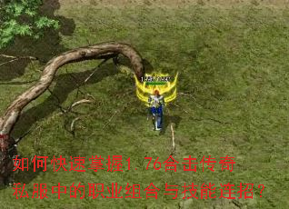 ��ο�������1.76�ϻ�����˽���е�ְҵ����뼼�����У�