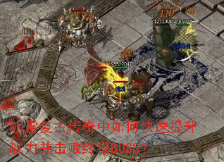 ��ѩ���Ŵ�������ο�������ս���������ռ�BOSS��