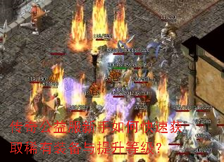 ���湫���������ο��ٻ�ȡϡ��װ���������ȼ���