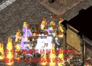 ����˽�������ƽ����ο����������ȡϡ��װ����