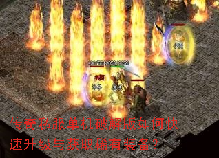 ����˽�������ƽ����ο����������ȡϡ��װ����