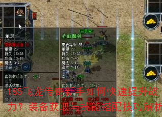 185��������������ο�������ս����װ����ȡ�뼼�ܴ��似�ɽ�����