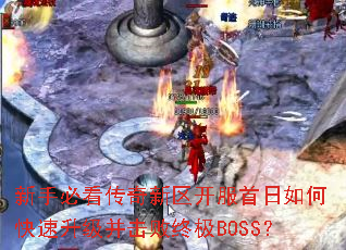 ���ֱؿ�������������������ο��������������ռ�BOSS��