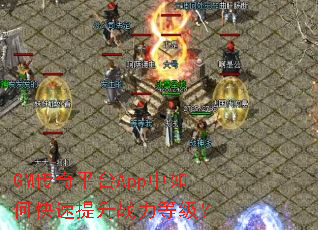 GM����ƽ̨App����ο�������ս���ȼ���