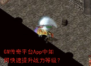 GM����ƽ̨App����ο�������ս���ȼ���