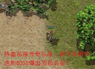 ��Ѫ˽������˽����������ο���ˢBOSS��������װ����