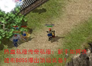 ��Ѫ˽������˽����������ο���ˢBOSS��������װ����