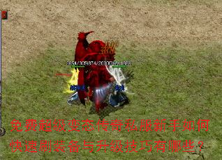 ��ѳ�����̬����˽��������ο���ˢװ����������������Щ��