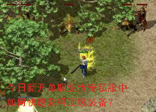 �����¿���ְҵ����˽������ο��ٻ�ö���װ����