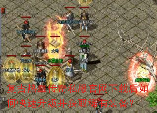 ������Ѫ����˽���������غ���ο�����������ȡϡ��װ����