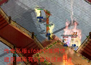 ����˽��sf666����ο��ٻ�ȡϡ��װ���뼼���飿