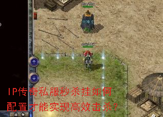 IP����˽����ɱ��������ò���ʵ�ָ�Ч��ɱ��