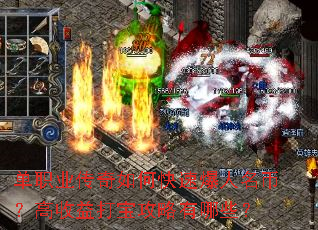 ��ְҵ������ο��ٱ������ң�������򱦹�������Щ��