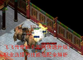 �ɷɴ���������ο���������ְҵѡ���뼼�ܴ���ȫ����