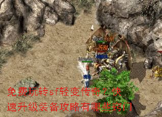 �����תsf��䴫�棿��������װ����������Щ����