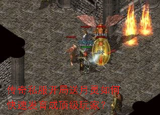 ����˽��������������ο��ٷ����ɶ�����ң�